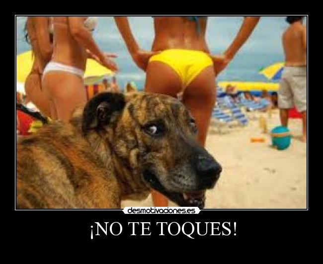 ¡NO TE TOQUES! -