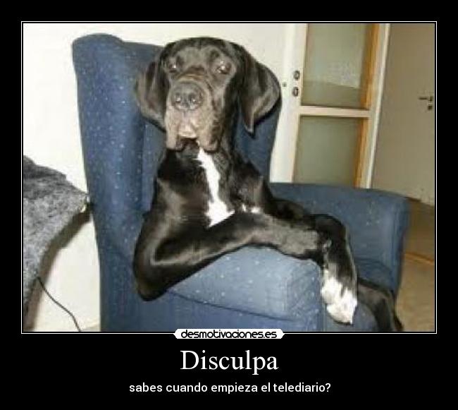 Disculpa - sabes cuando empieza el telediario?