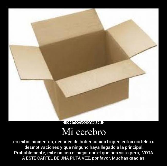 Mi cerebro - 