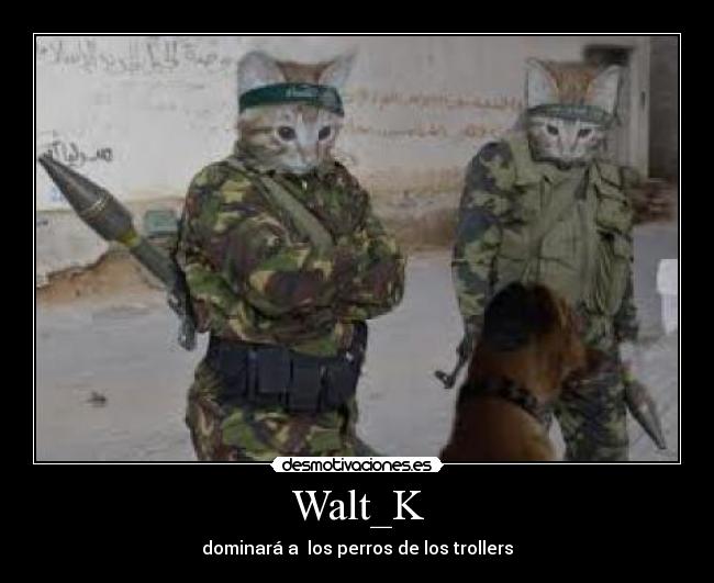Walt_K - dominará a los perros de los trollers