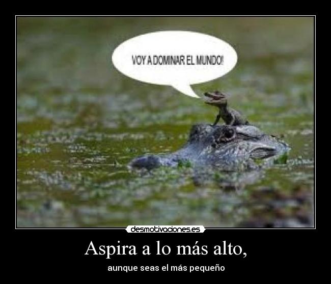 Aspira a lo más alto, - aunque seas el más pequeño