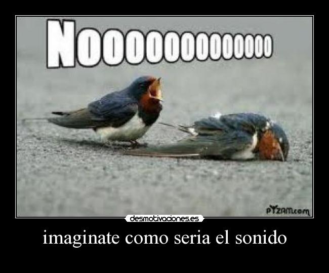 imaginate como seria el sonido -