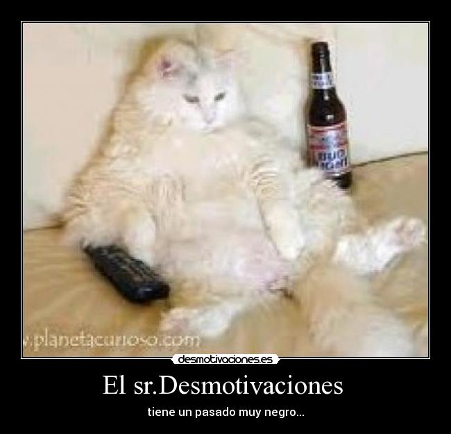 El sr.Desmotivaciones  - 