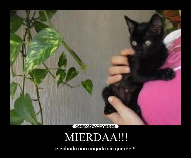 MIERDAA!!! - 