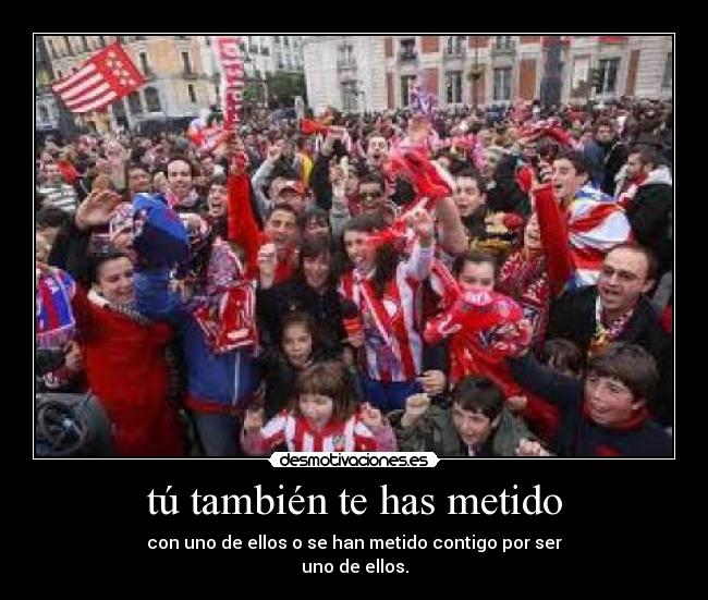 tú también te has metido -