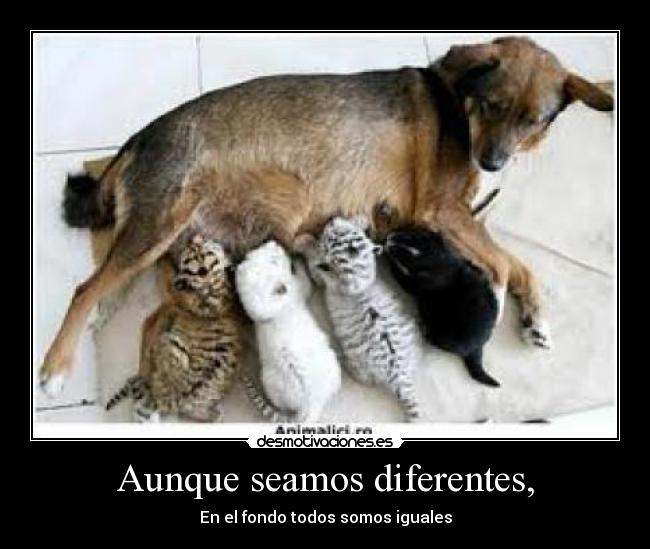 Aunque seamos diferentes, -