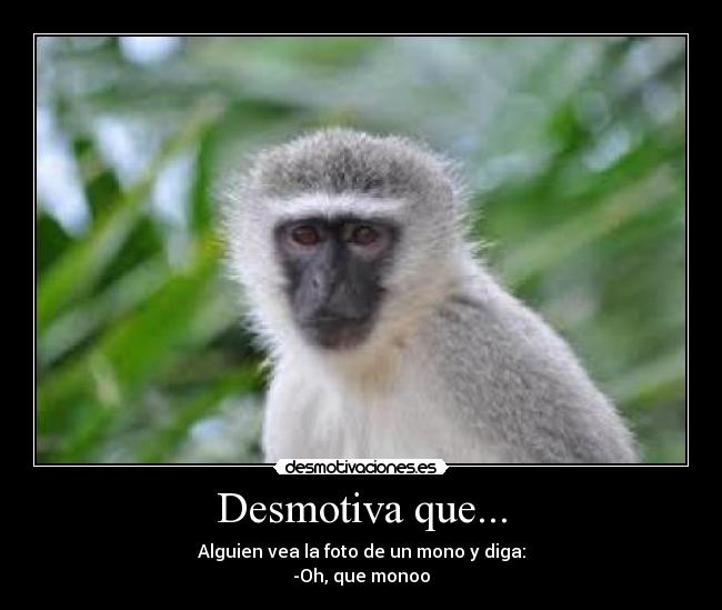 Desmotiva que... - 