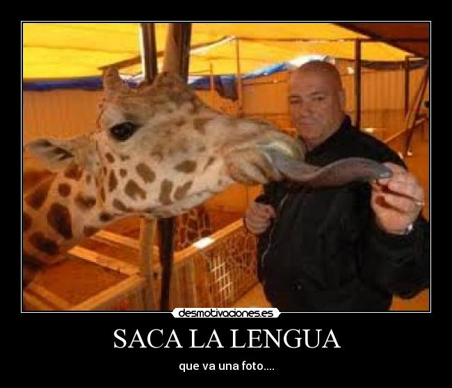 SACA LA LENGUA - que va una foto....