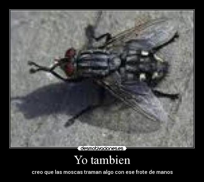 Yo tambien -