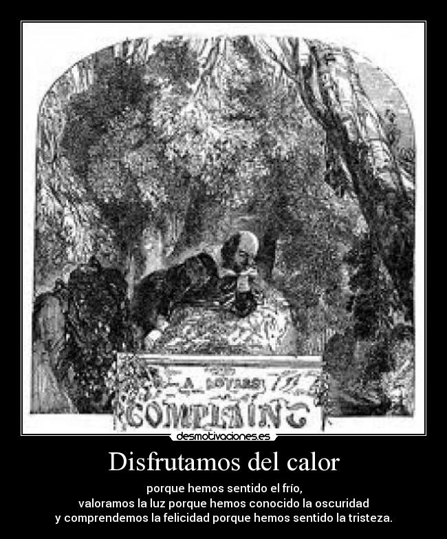 Disfrutamos del calor -