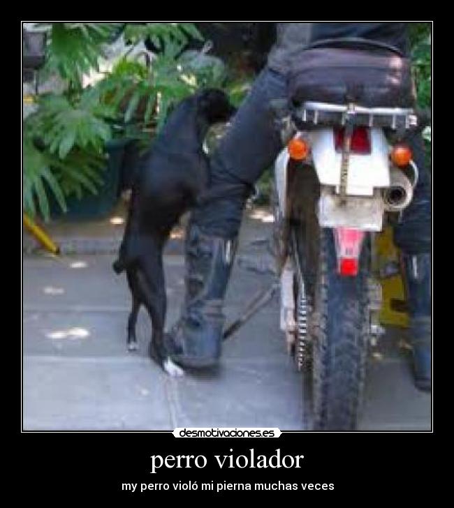 perro violador - my perro violó mi pierna muchas veces