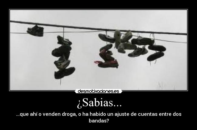 ¿Sabias... - ...que ahí o venden droga, o ha habido un ajuste de cuentas entre dos bandas?