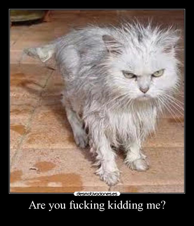 Are you fucking kidding me? - 