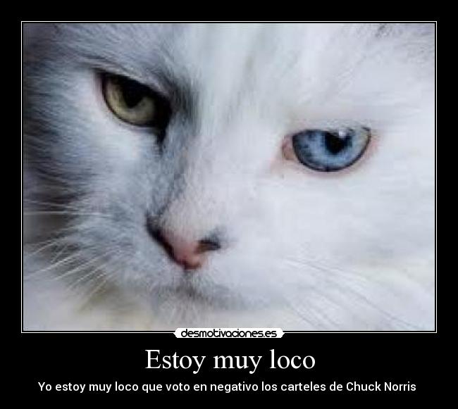 Estoy muy loco -