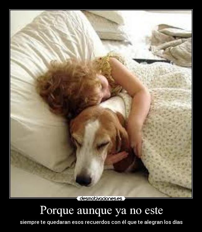 Porque aunque ya no este - siempre te quedaran esos recuerdos con él que te alegran los días