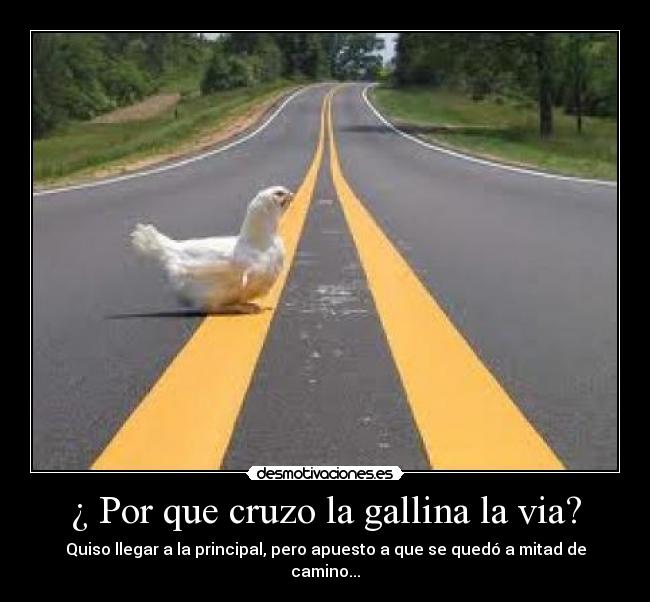 Usuario roxiio1994 Desmotivaciones