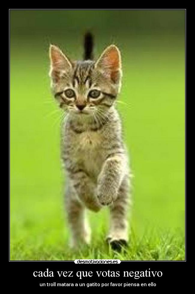 cada vez que votas negativo -