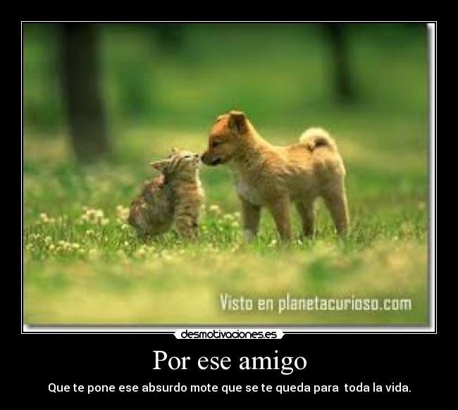 Por ese amigo - 