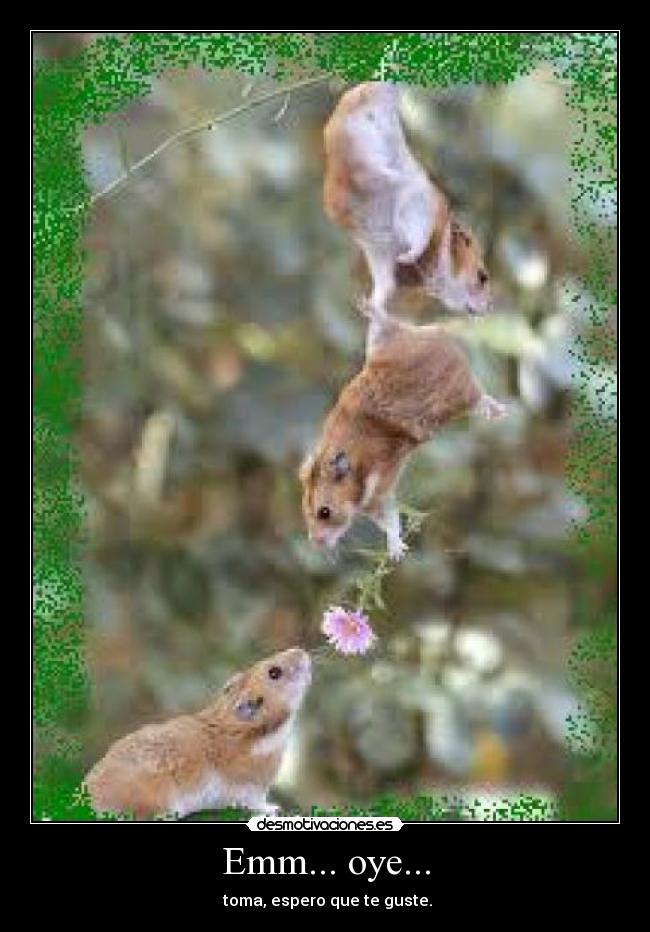 Emm... oye... - toma, espero que te guste.