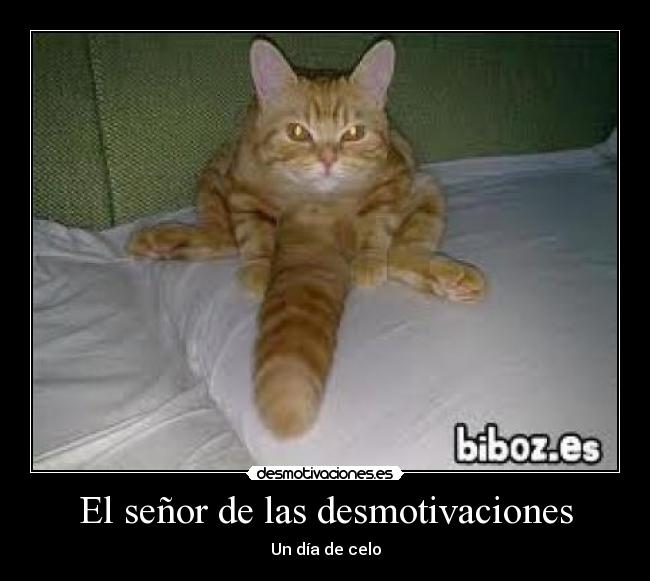 El señor de las desmotivaciones - Un día de celo