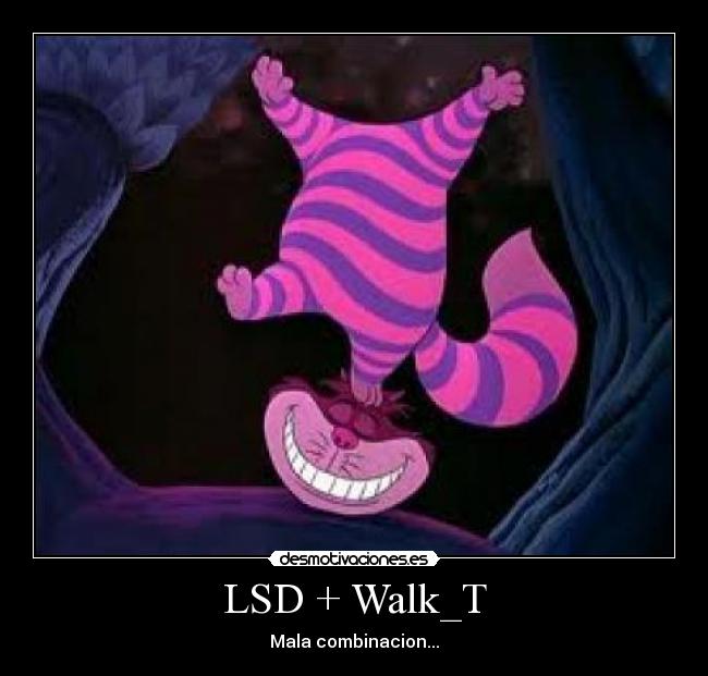 LSD + Walk_T - Mala combinacion...