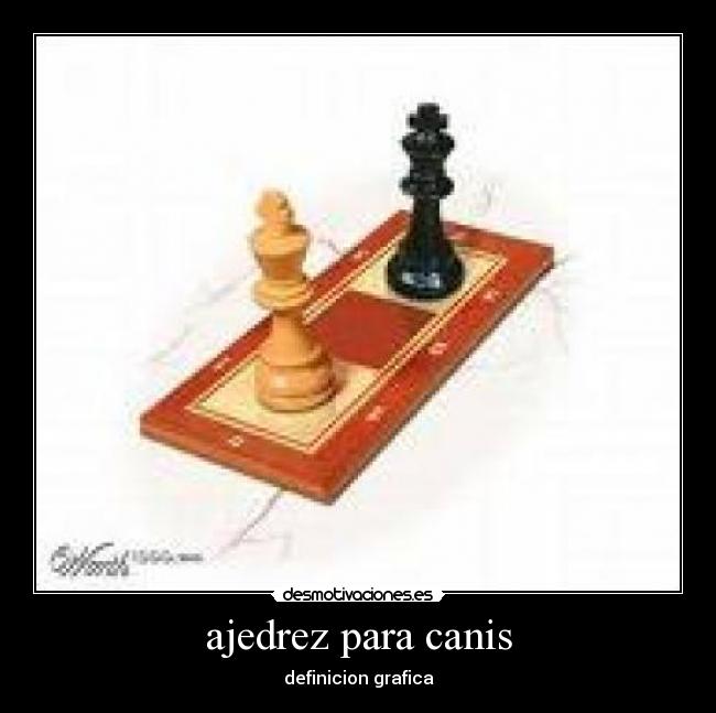 ajedrez para canis - 