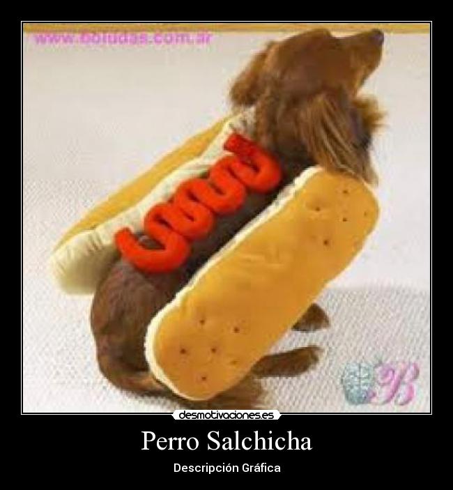Perro Salchicha -