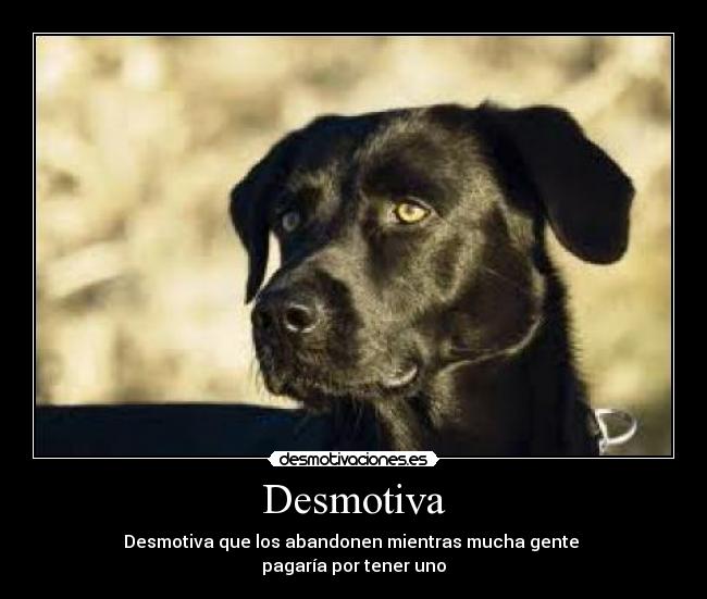 Desmotiva -