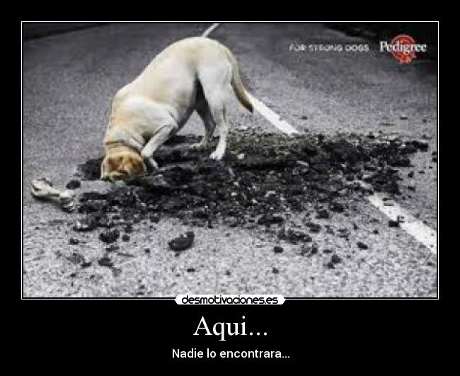 Aqui... - 