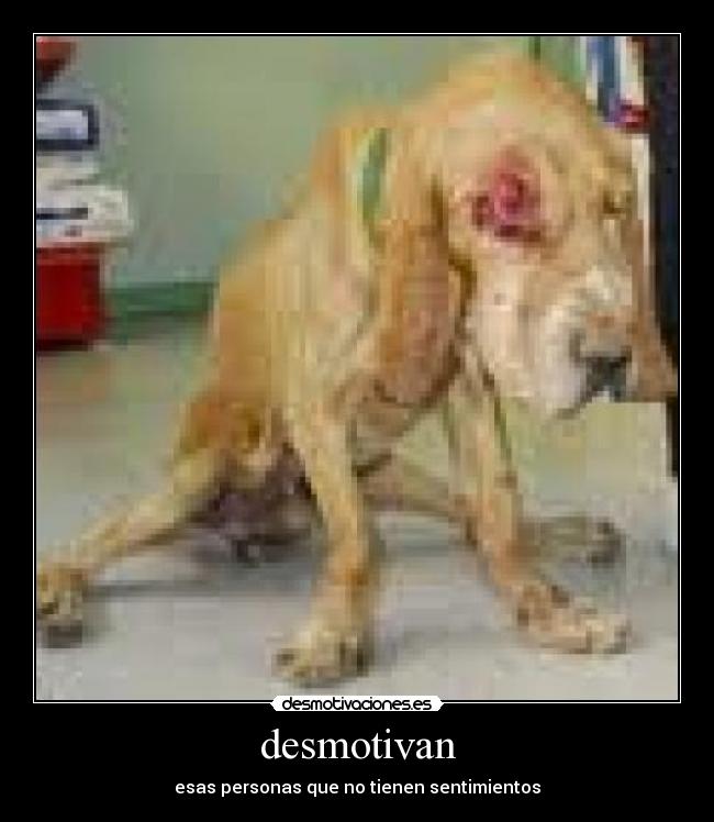 desmotivan -