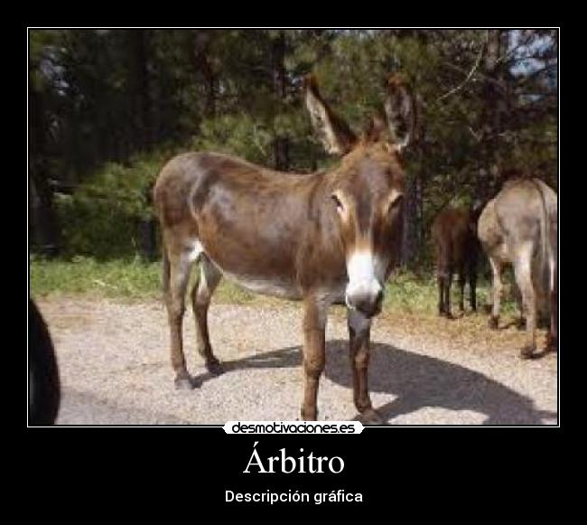 Árbitro - Descripción gráfica