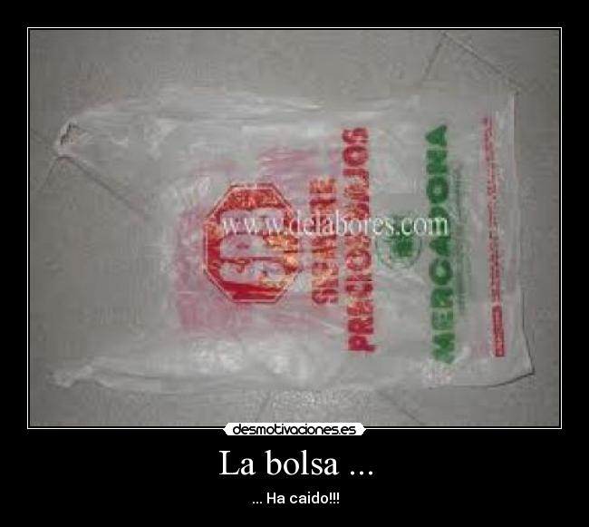 La bolsa ... - ... Ha caido!!!