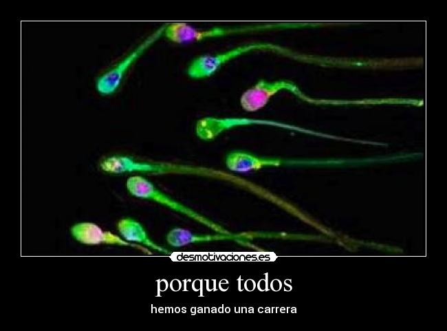 carteles 1234567 desmotivaciones