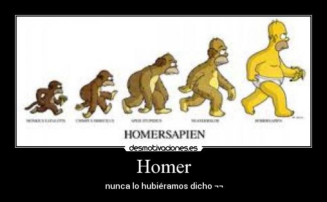 Homer - nunca lo hubiéramos dicho ¬¬