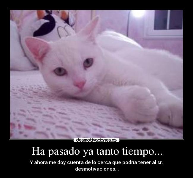 Ha pasado ya tanto tiempo... - Y ahora me doy cuenta de lo cerca que podría tener al sr. desmotivaciones...