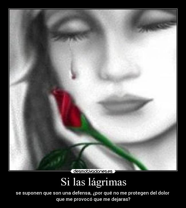 Si las lágrimas -