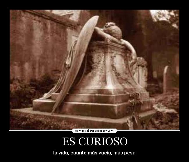 ES CURIOSO - la vida, cuanto más vacía, más pesa.