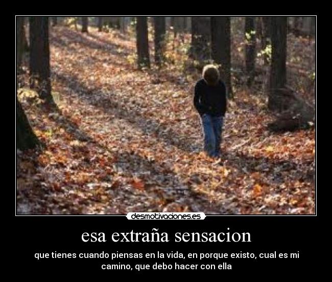esa extraña sensacion - que tienes cuando piensas en la vida, en porque existo, cual es mi
camino, que debo hacer con ella