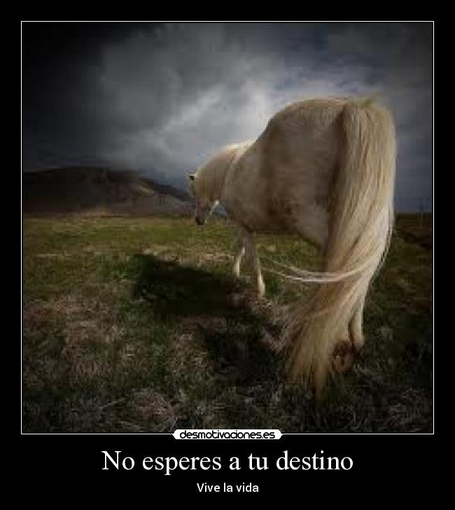 No esperes a tu destino - Vive la vida