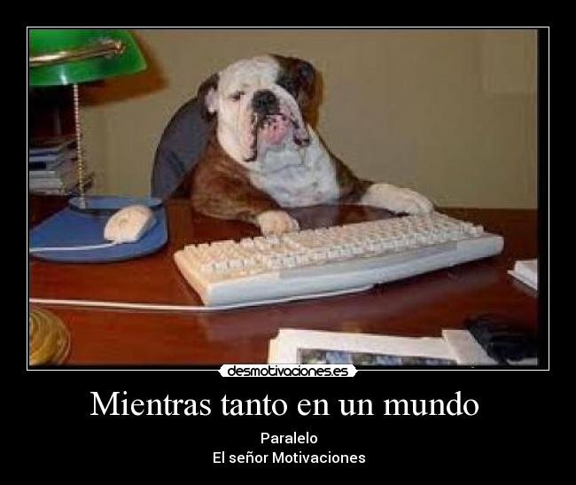 Mientras tanto en un mundo  - 