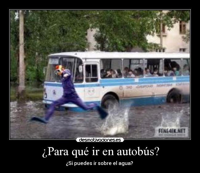 ¿Para qué ir en autobús? - ¿Si puedes ir sobre el agua?