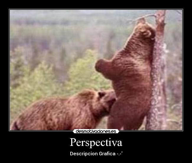 Perspectiva -