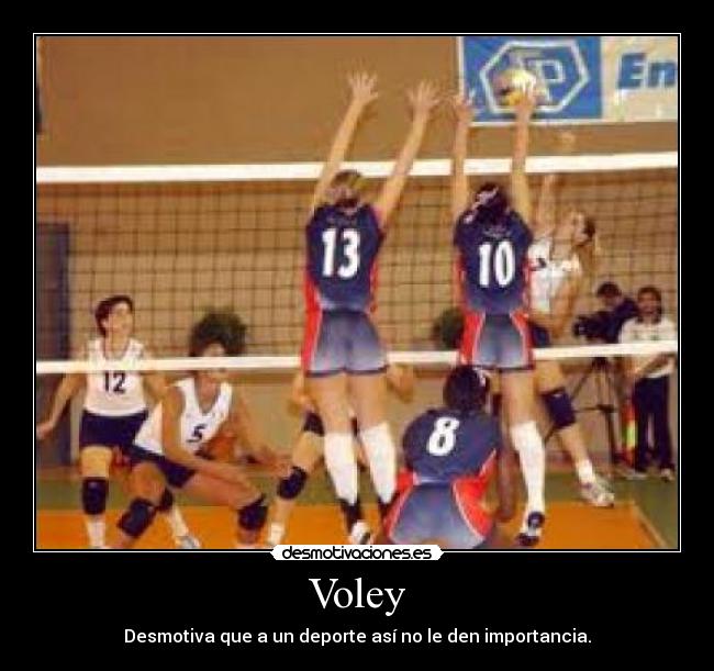 Voley - 