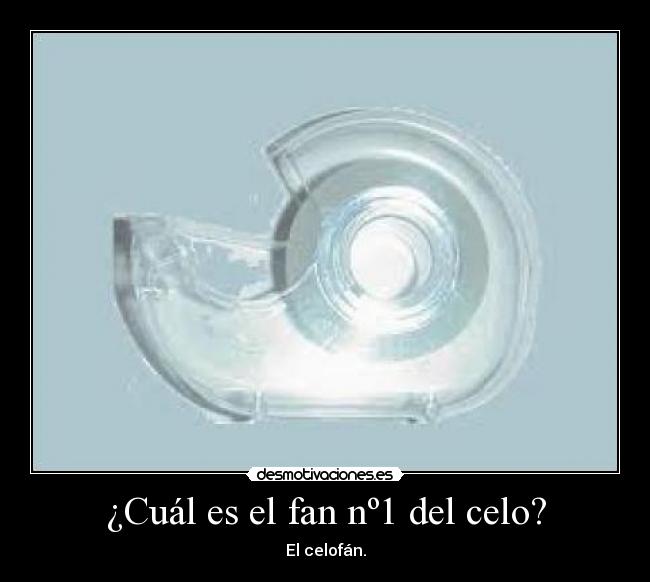 ¿Cuál es el fan nº1 del celo? - El celofán.