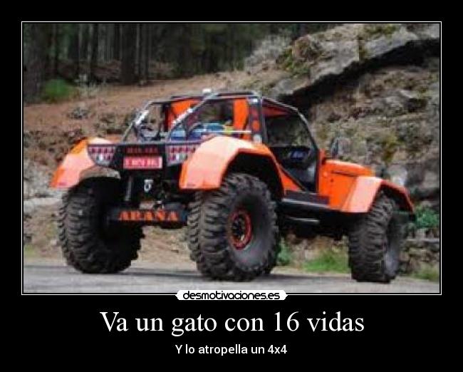 Va un gato con 16 vidas - Y lo atropella un 4x4