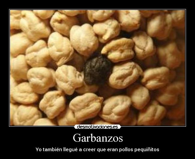 carteles gilipolleces desmotivaciones