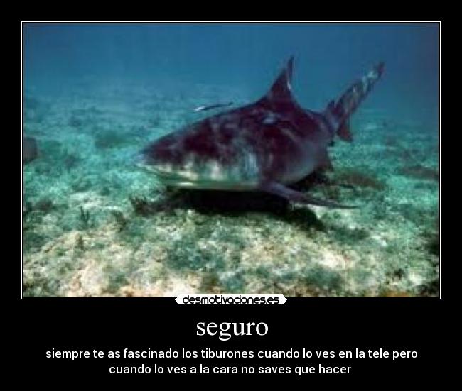 carteles  desmotivaciones
