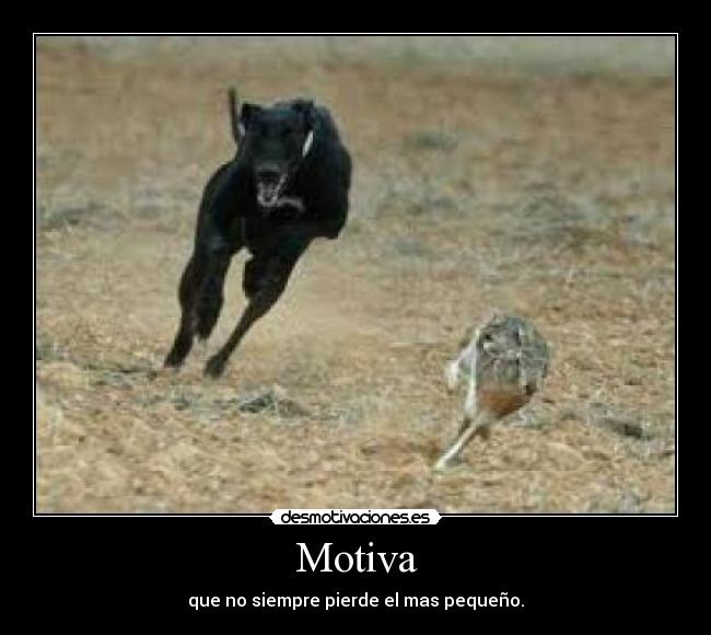 Motiva - 
