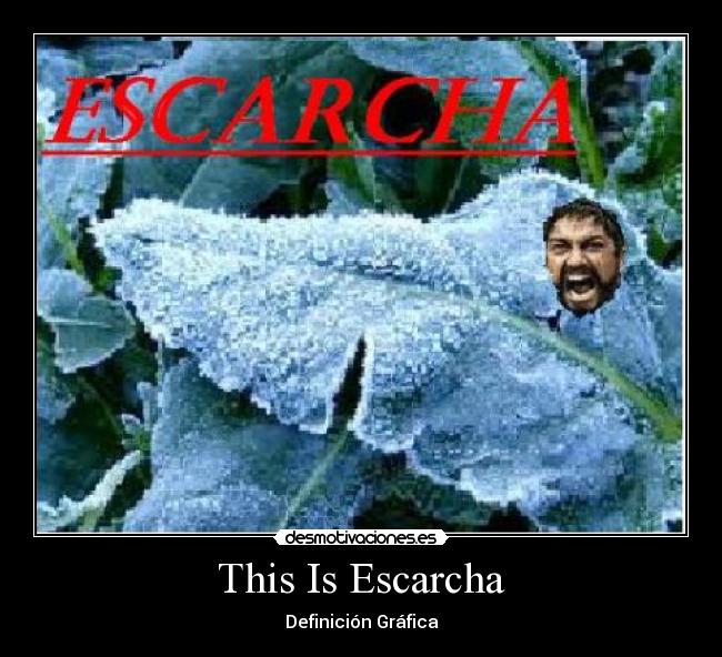 This Is Escarcha -