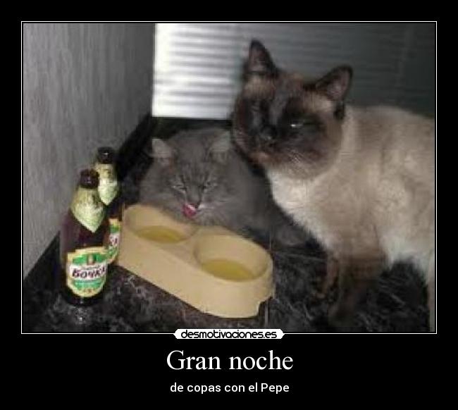 Gran noche - de copas con el Pepe